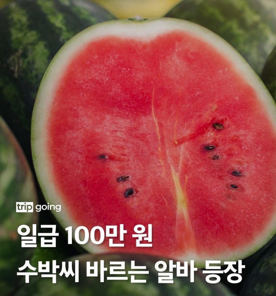 900w_20250618211726_06ZQFVdCKI.jpg?v=7