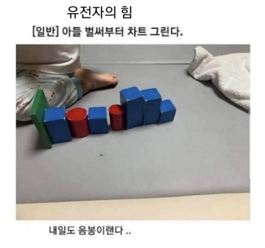 900w_20250619095910_bkgM0rvhUo.png?v=7