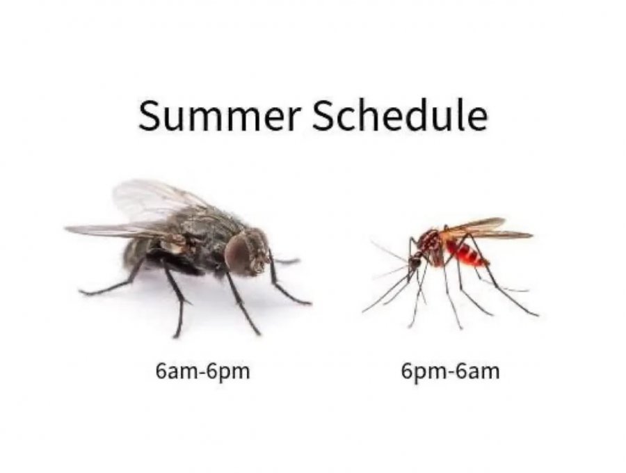 900w_20250619100157_f2CVcz0zpF.jpeg?v=7