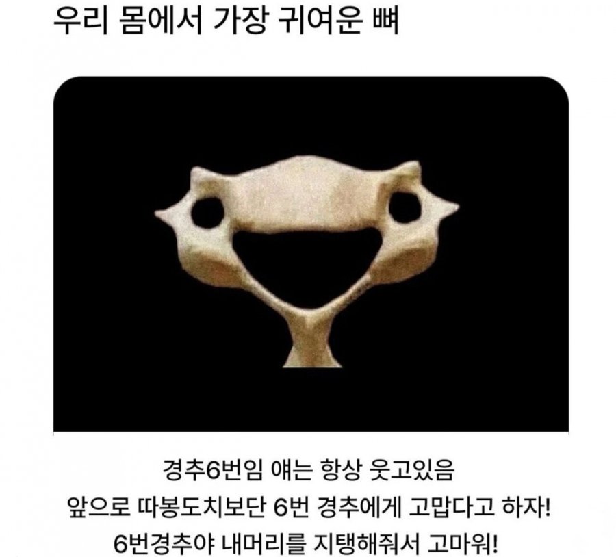 900w_20250619101556_gEZRF5AKO8.jpeg?v=7