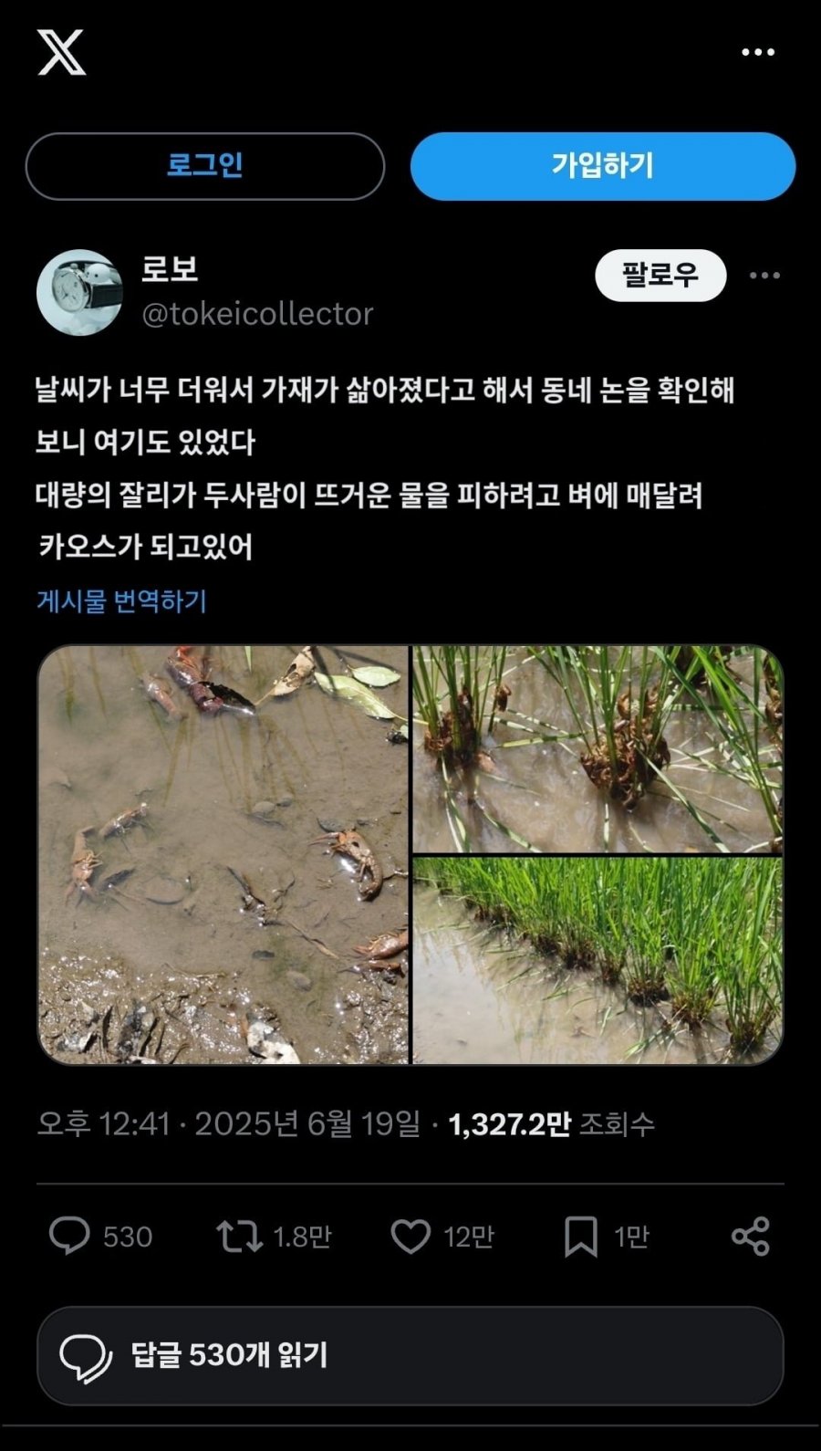 900w_20250620114943_pq3OlS5hzL.jpg?v=7