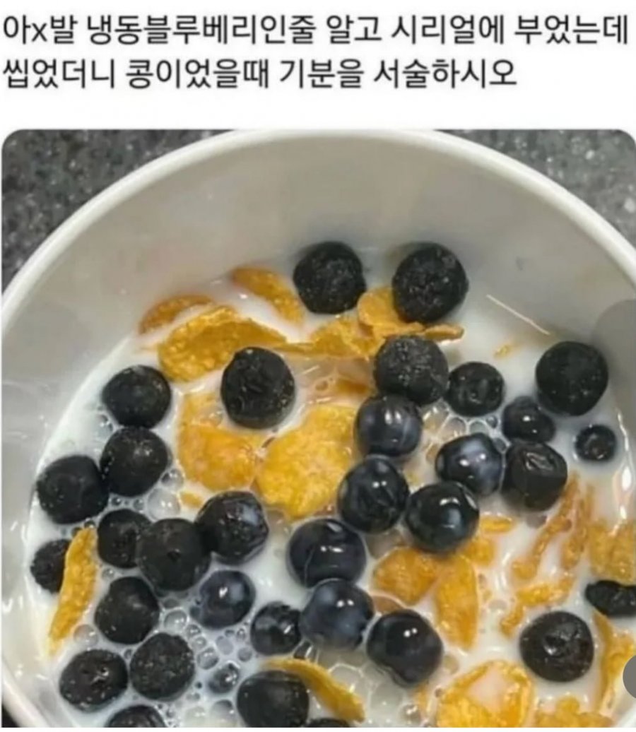 900w_20250620163556_YqVXFWmtJU.jpeg?v=7