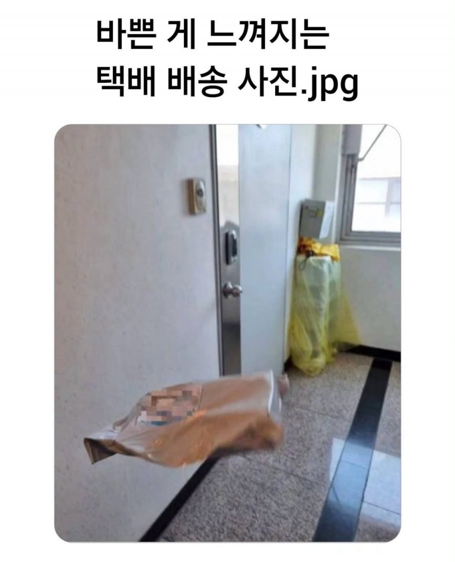 900w_20250620192001_Q8p6nqeA4d.jpeg?v=7