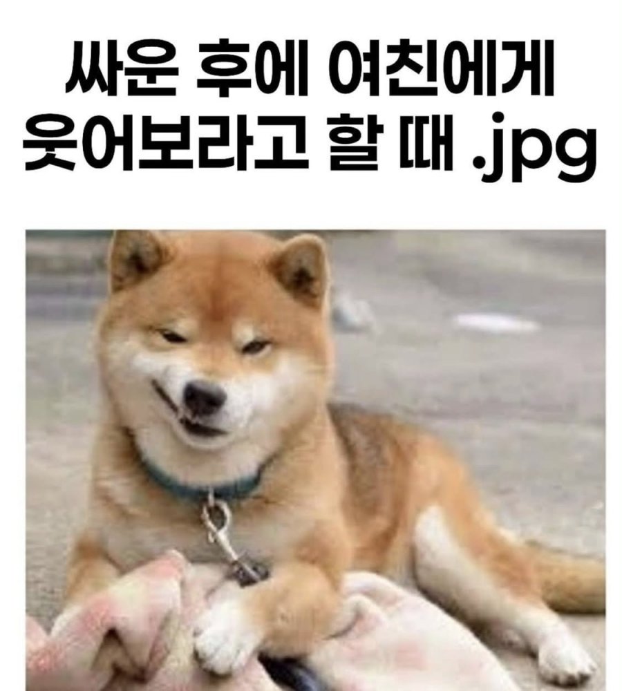 900w_20250620192347_zeNLT9vmXk.jpeg?v=7