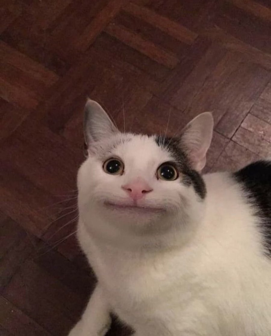 900w_20250621071035_RcyEmYshwh.jpeg?v=7