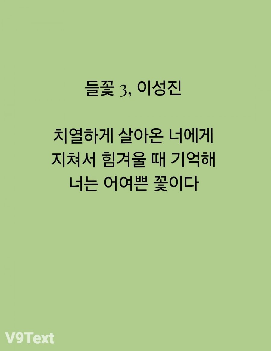 900w_20250622011914_8bI4U2QeZz.jpg?v=7