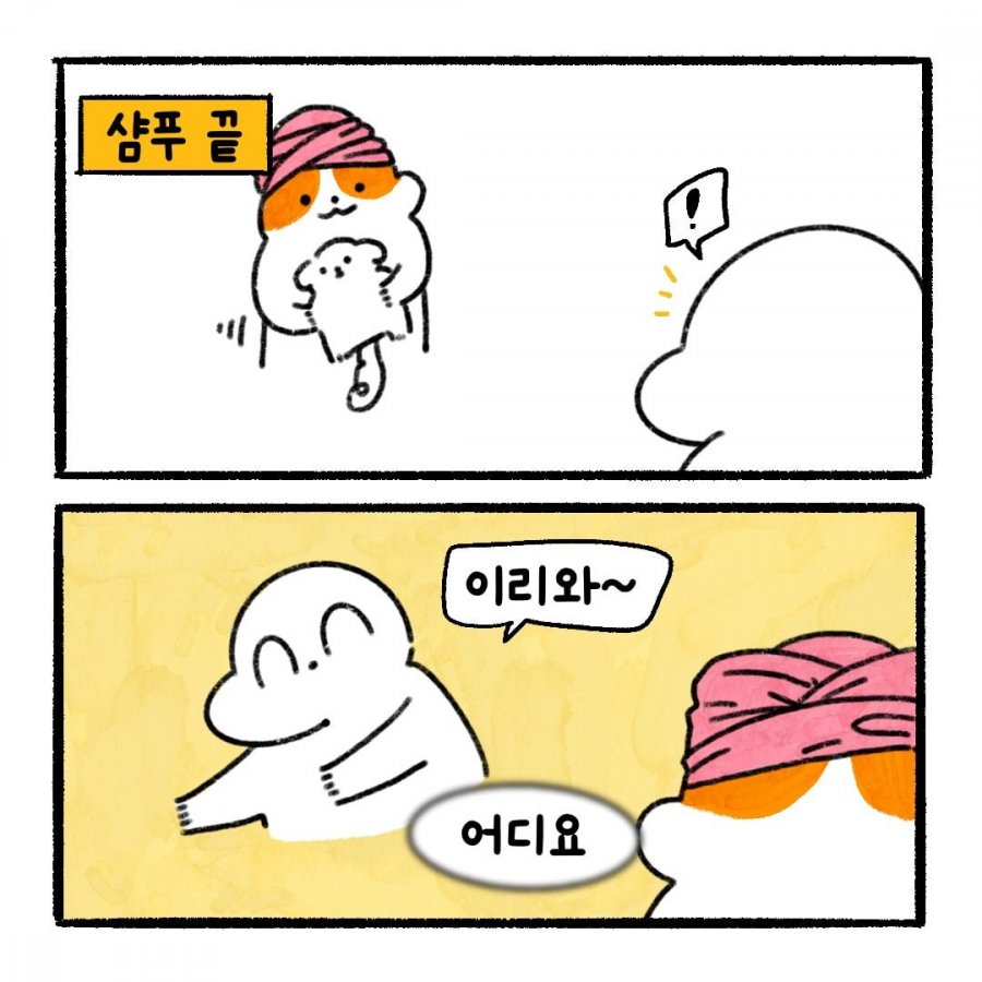 900w_20250622182540_QOBWjMd5XZ.jpg?v=7