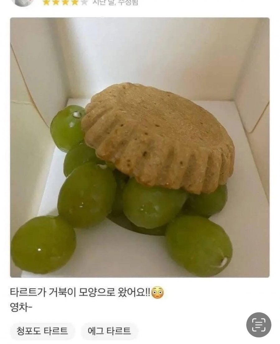 900w_20250623140008_BJUsbT8N0X.jpeg?v=7