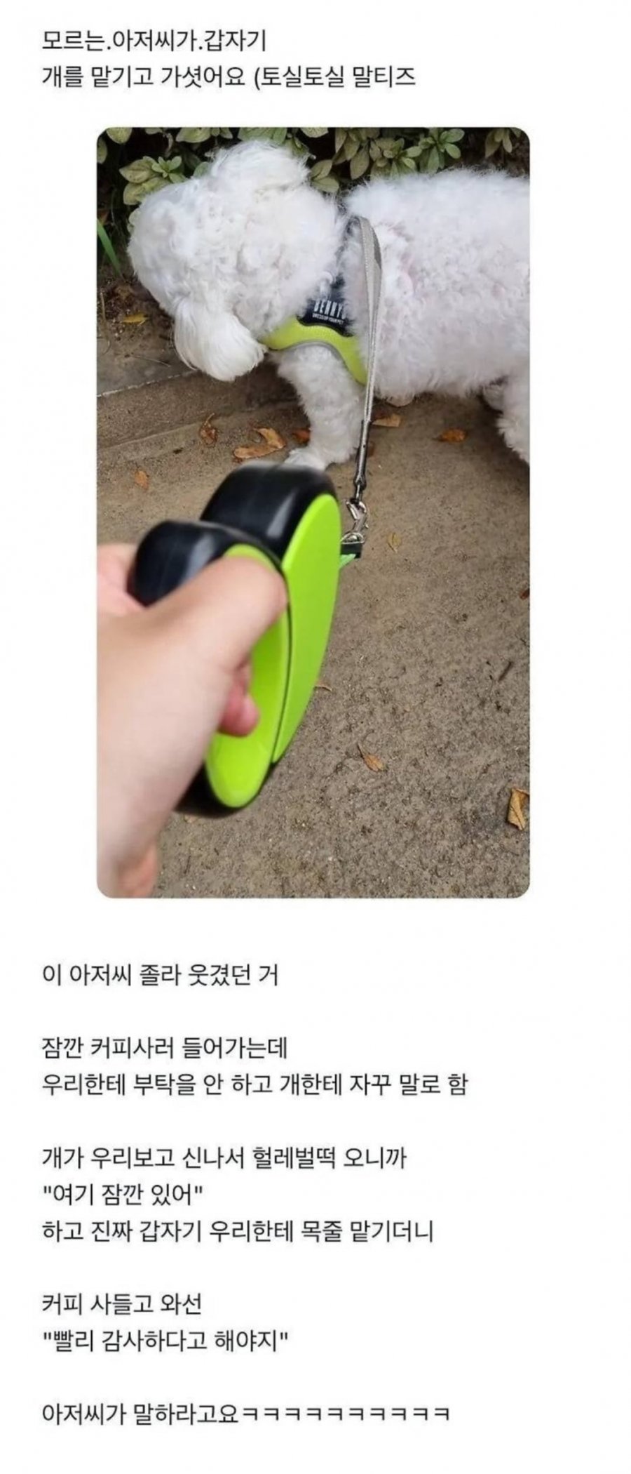 900w_20250623170605_OheH7QivZf.jpg?v=7