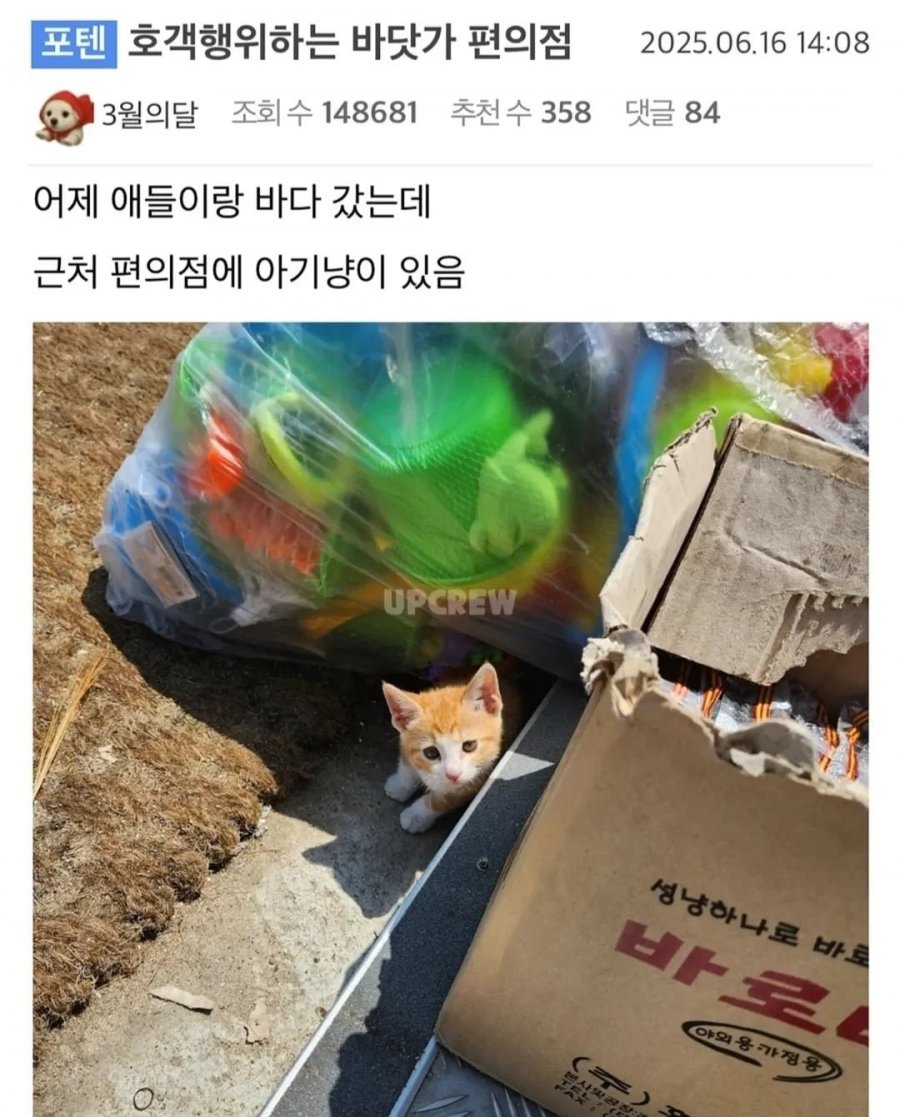 900w_20250623195526_XyRROJm8hE.jpg?v=7