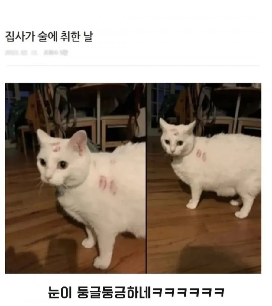 900w_20250624102150_h6CEiJYOXA.jpg?v=7
