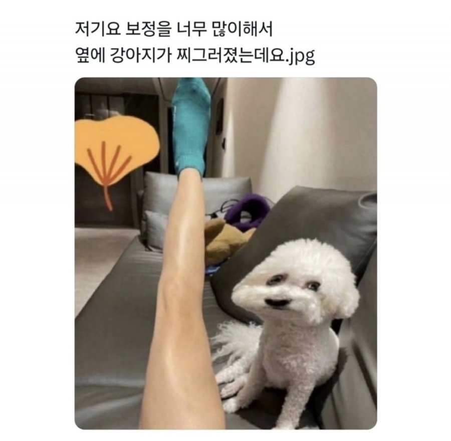 900w_20250624175928_M76xrHXOKH.jpeg?v=7