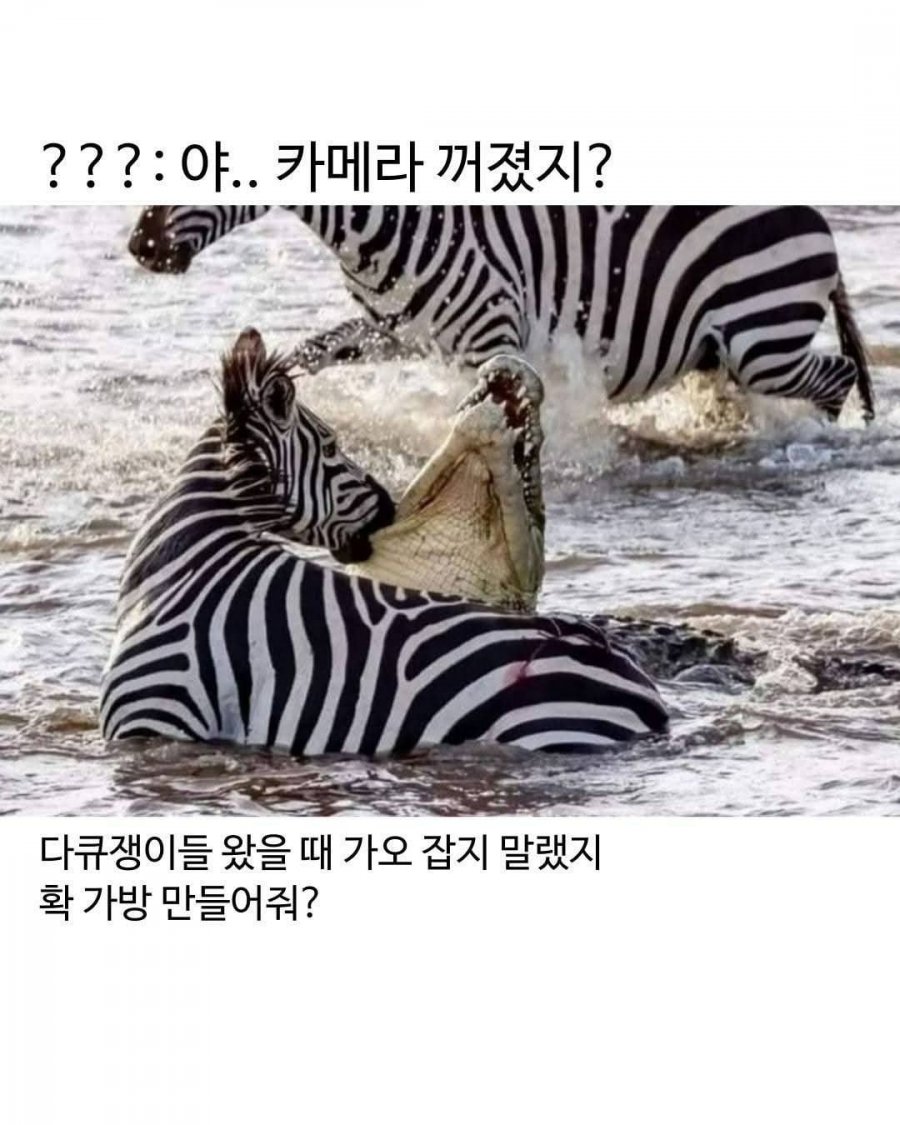 900w_20250625063736_7V8gxg6ROG.jpg?v=7