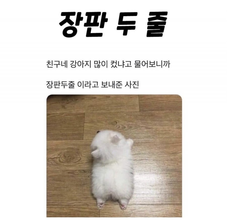 900w_20250625144347_kfc2RICGOh.jpeg?v=7