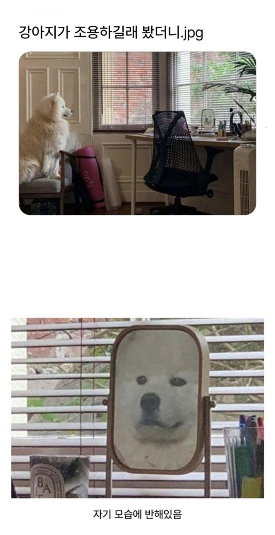 900w_20250625221137_3UQUChLCLb.jpg?v=7