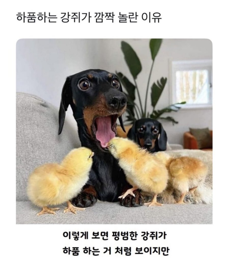 900w_20250626194545_uhjQfdNt8u.jpeg?v=7