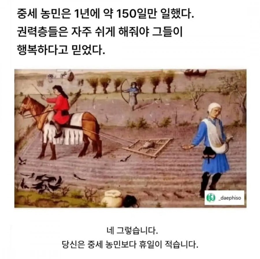 900w_20250626233905_zhQPfAfhrW.jpg?v=7