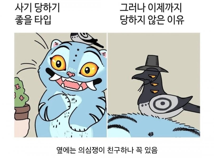 900w_20250628144156_xGlL261xrB.jpg?v=7