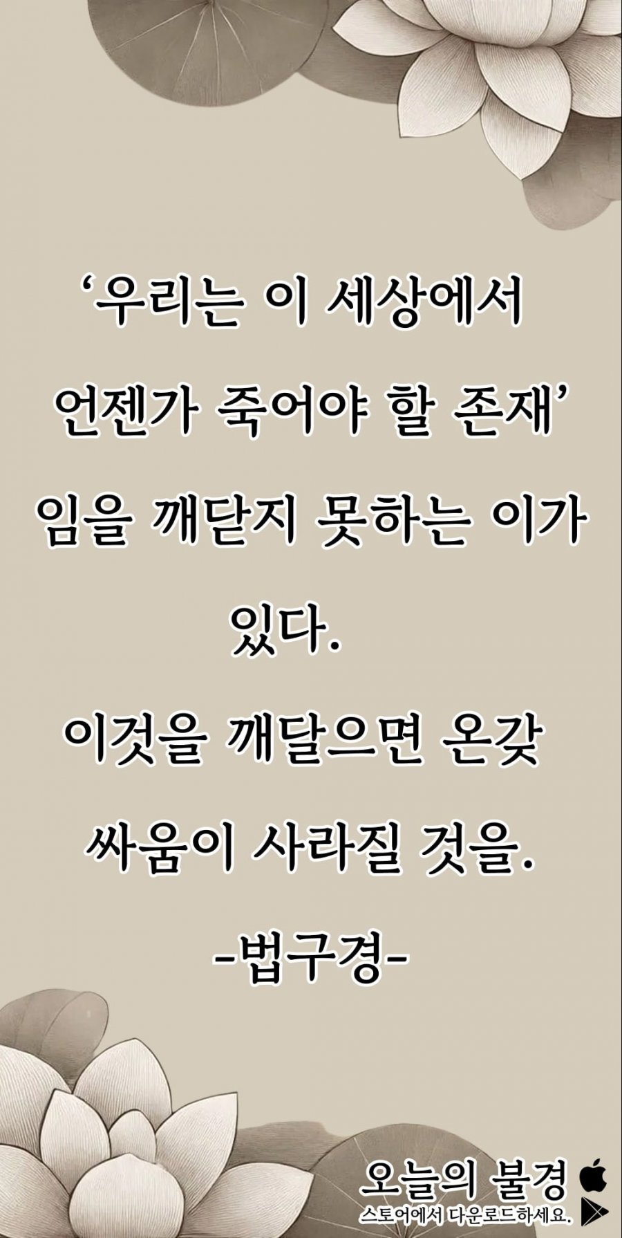 900w_20250628173914_owODC5q34L.png?v=7