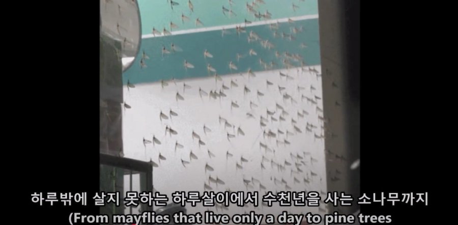 900w_20250629221406_3mYEDDj0z6.jpg?v=7