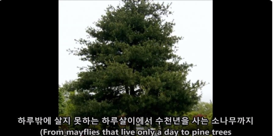 900w_20250629221407_uHaVwSHnY9.jpg?v=7