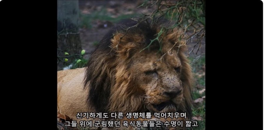 900w_20250629221408_KUxYxc8O6D.jpg?v=7