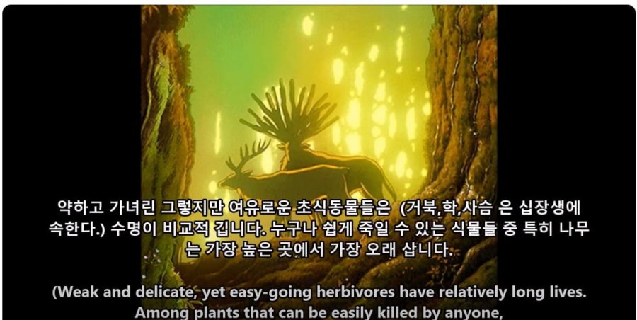 900w_20250629221410_qifU5NYH2J.jpg?v=7