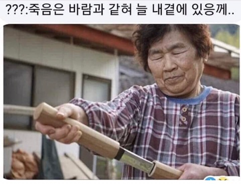1981825942_OnQ8vFJY_mzZEsHpy7LTKA0xo.png?v=7