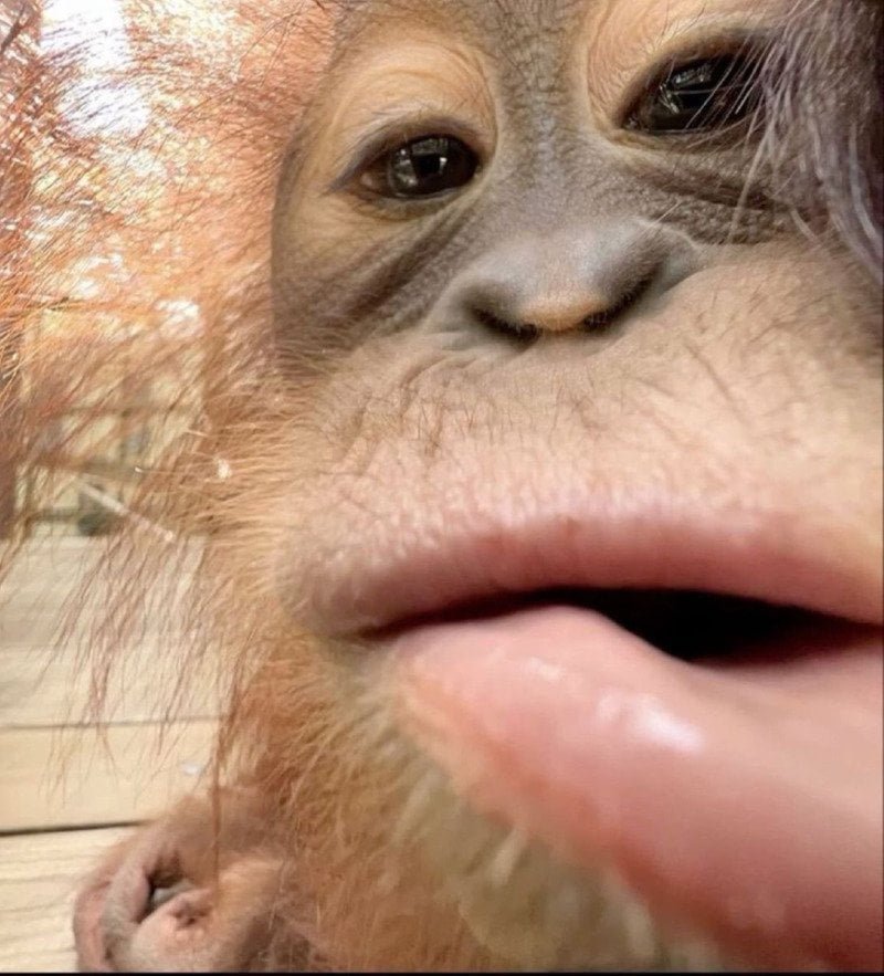 20250701125035_x9pdQmdFT8.jpg?v=7