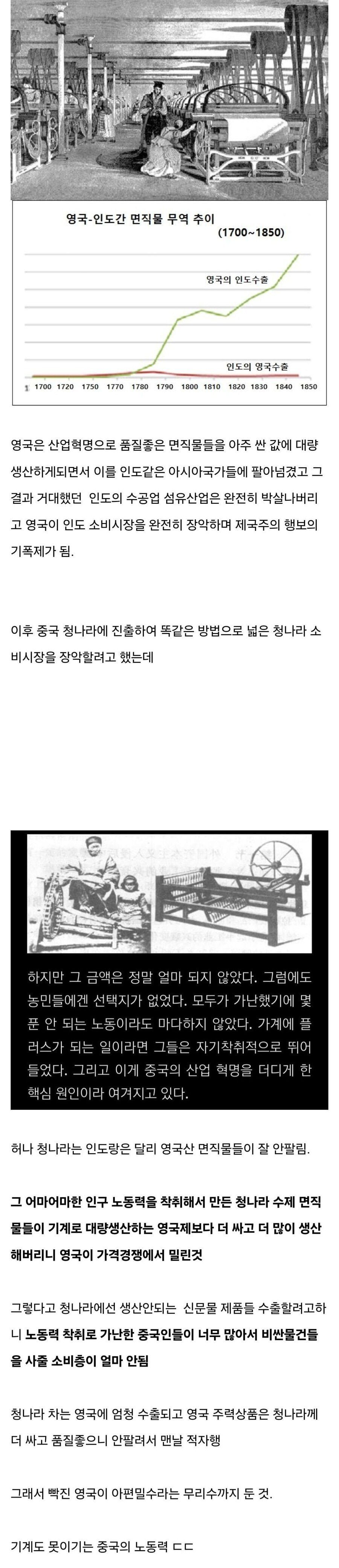 20250701152105_hnyc2TLOLM.jpg?v=7