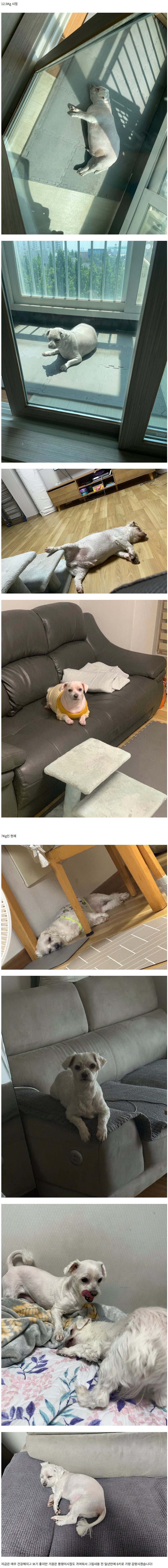 20250701185003_McjPWwwRWP.png?v=7