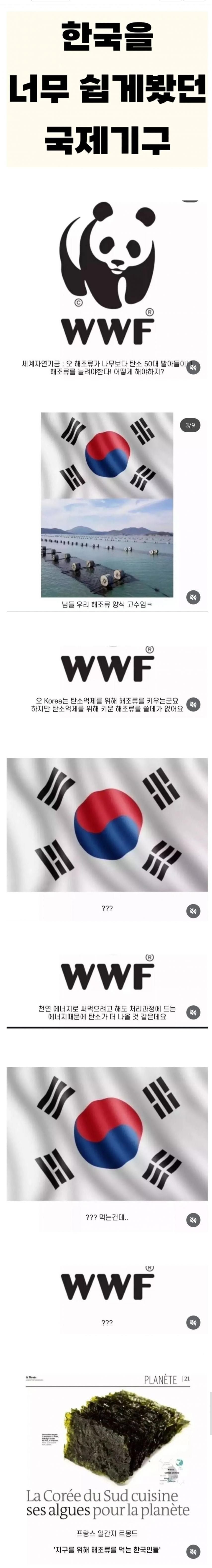 20250703090306_oWCyZbD66U.jpeg?v=7