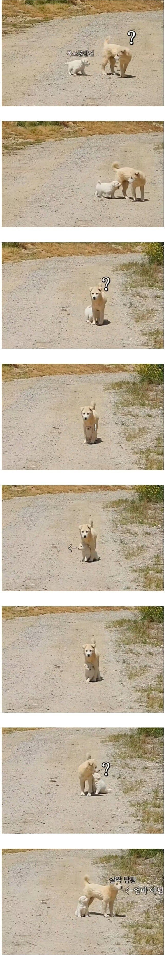 20250706140840_nYADUOiIk1.png?v=7