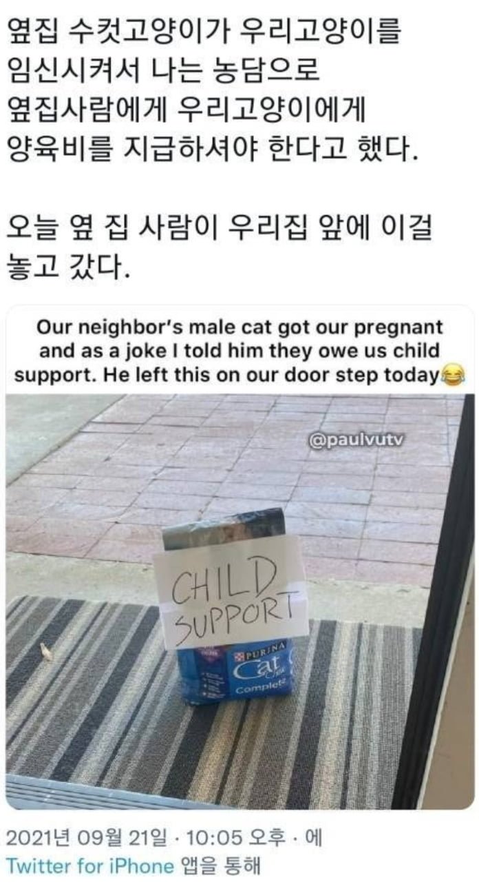 20250707073138_fHvFczzIf7.png?v=7