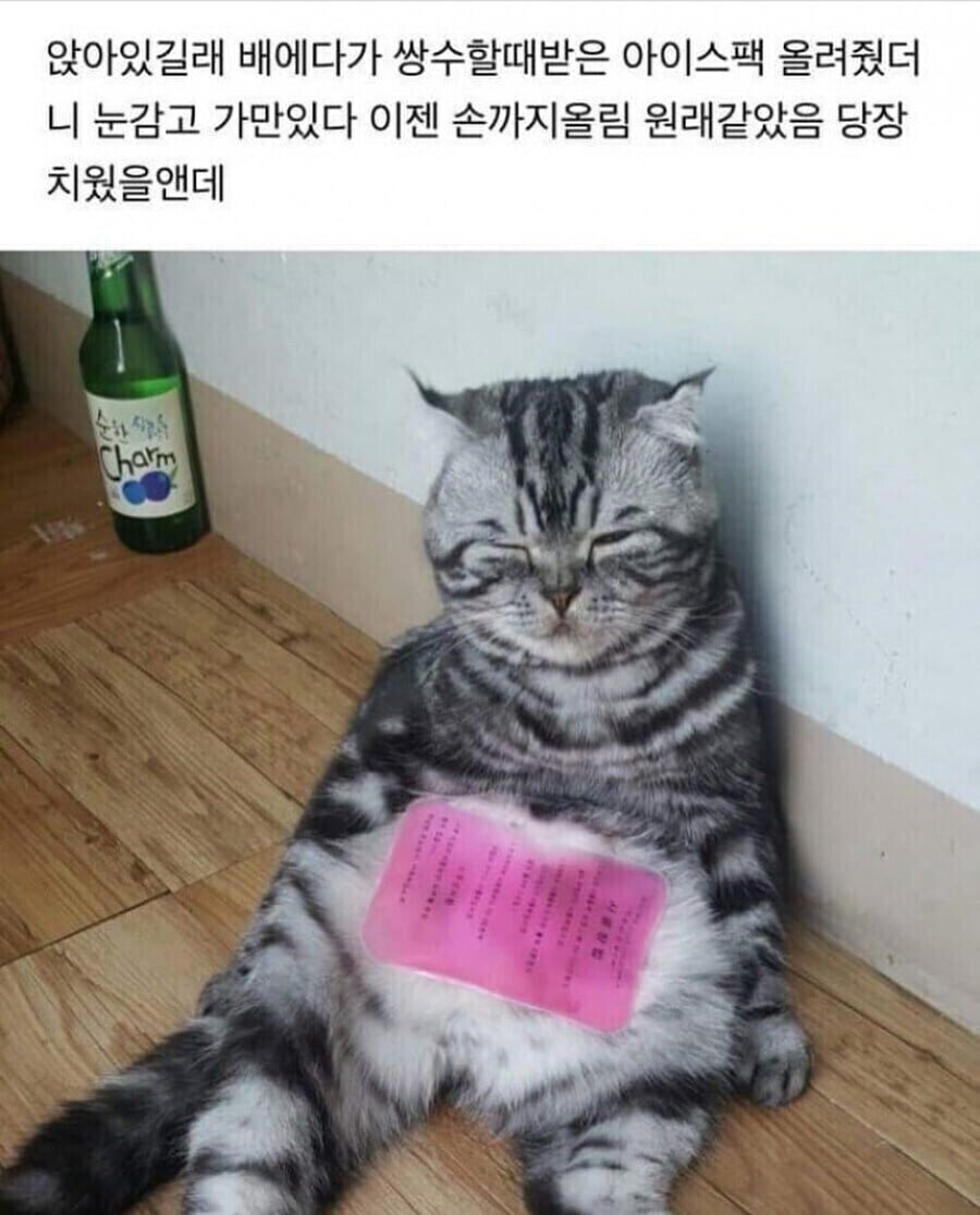 20250707162437_mnbsfxPePi.jpeg?v=7