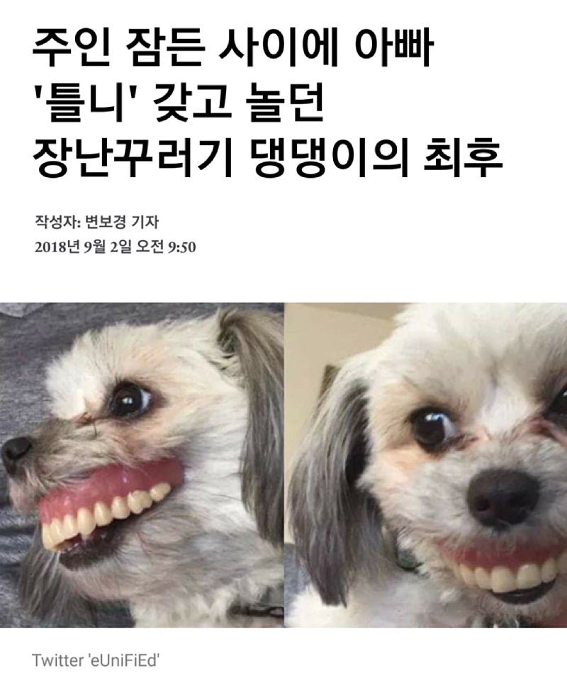 20250708121859_QxbfIZKT8u.jpg?v=7