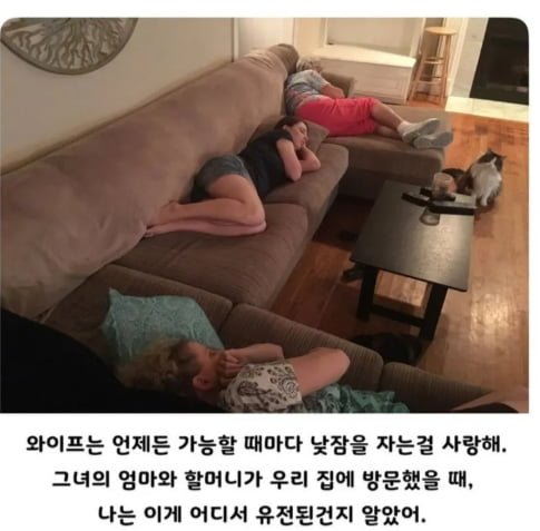 20250708131804_azrjpsZNP4.png?v=7