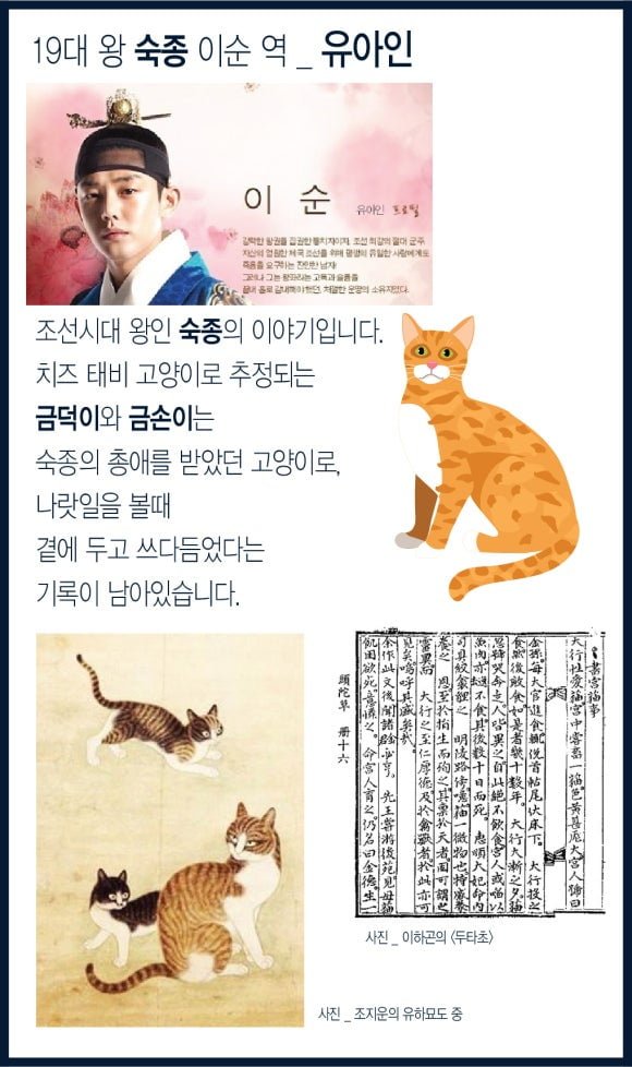 20250708140100_KSfa3AiIb4.jpg?v=7
