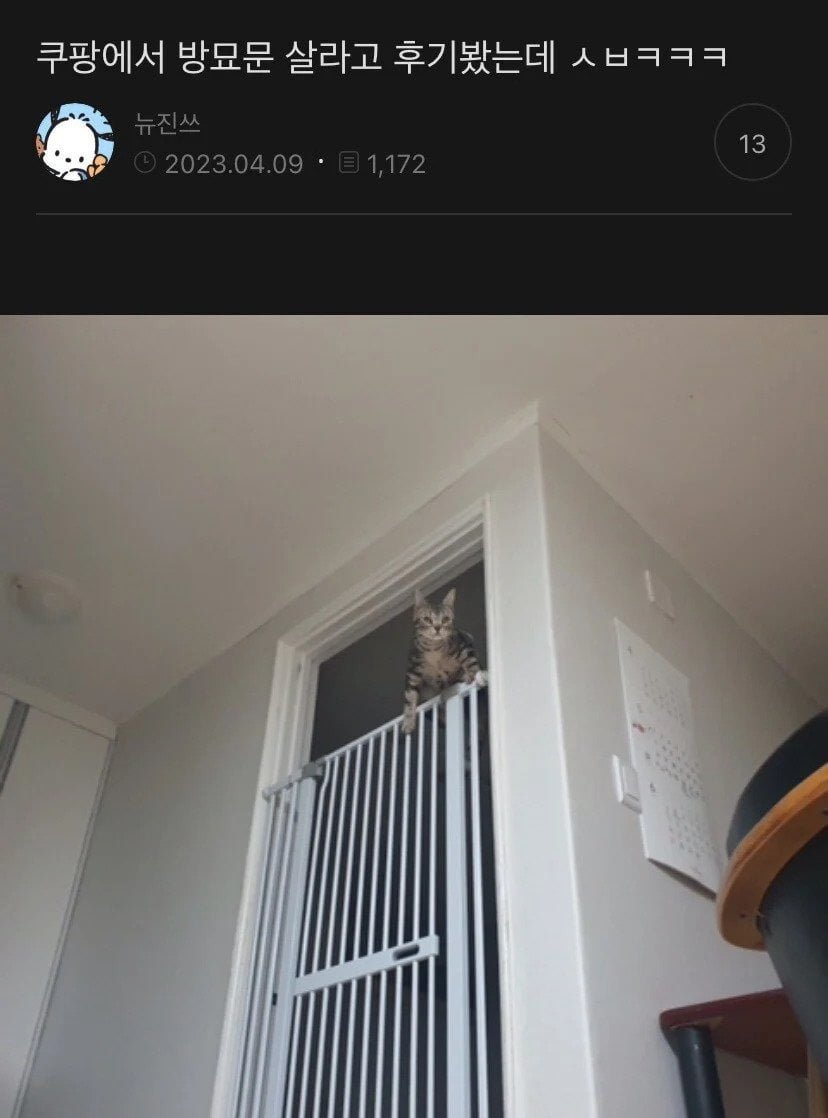20250709190714_rnIEmdXdIU.jpeg?v=7