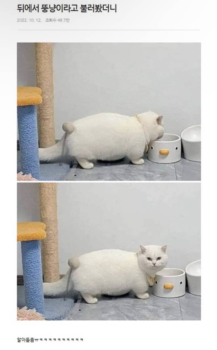20250710161046_Q6bEfQmIws.jpg?v=7