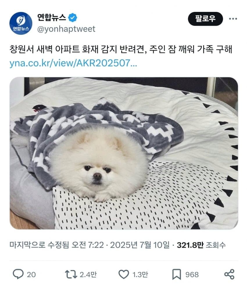 20250710172811_Gvc9Fw7NnU.png?v=7