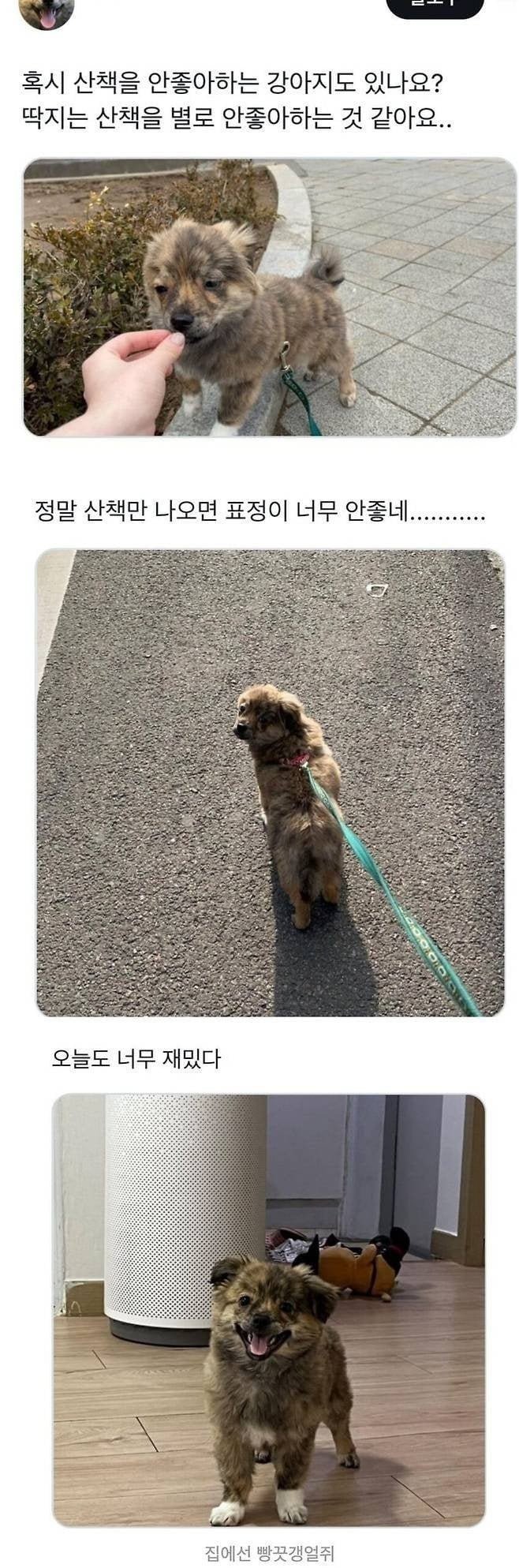 20250710203918_DVKbl119AN.jpeg?v=7