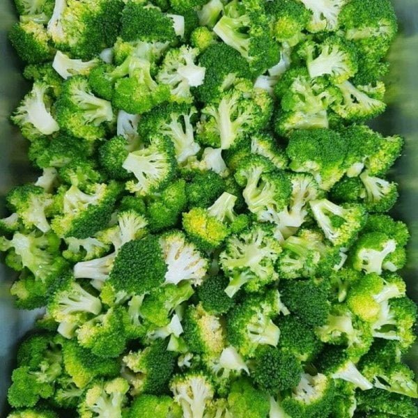 20250711093416_qyyVHs4pdJ.jpg?v=7