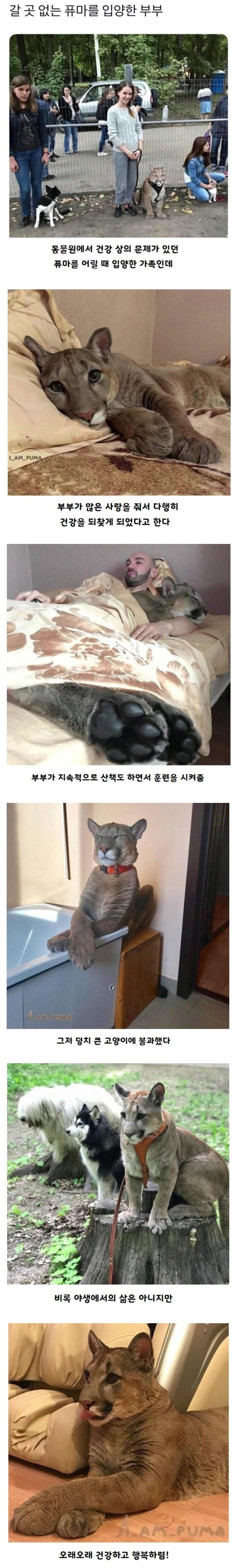 20250714164040_qvQcD7ULrx.jpeg?v=7