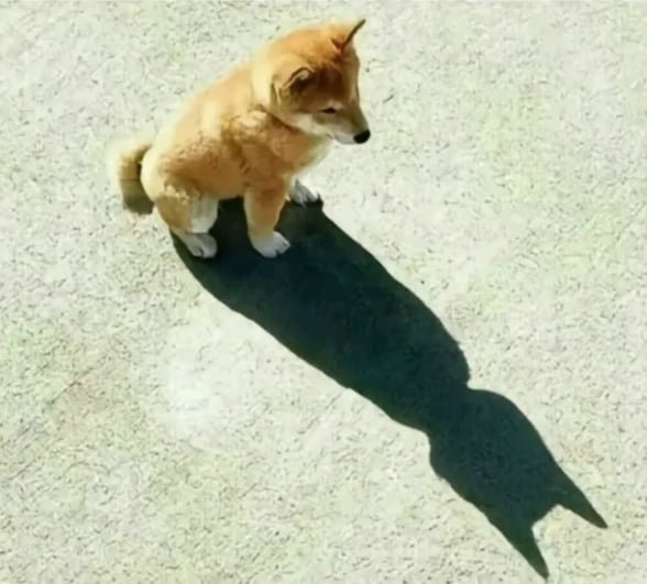 20250714164543_T1VcX4qXxa.png?v=7