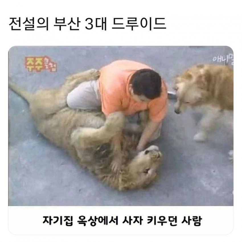 20250714215312_jTFaUTsSWC.jpg?v=7