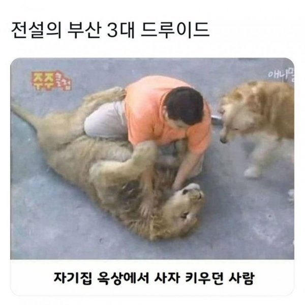 20250715093623_yG5osg13ki.jpeg?v=7
