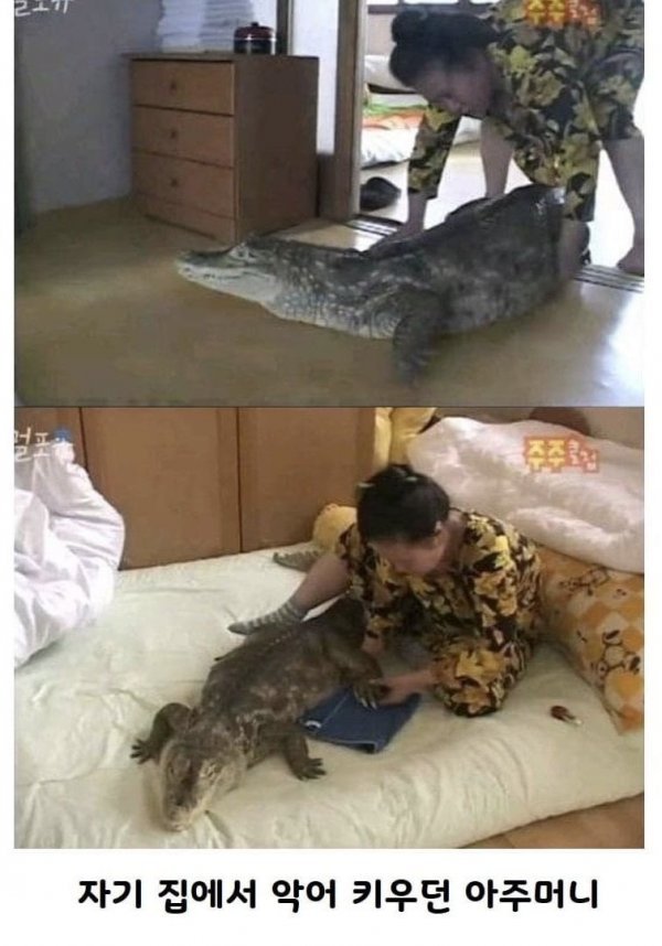 20250715093624_fpGcVMoOYg.jpeg?v=7