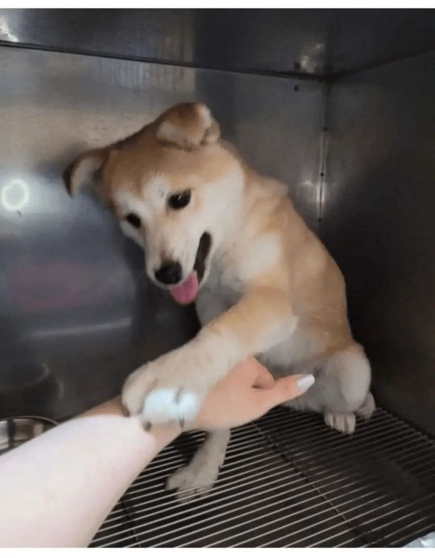 20250715210852_Tk1xAZB1LQ.jpeg?v=7