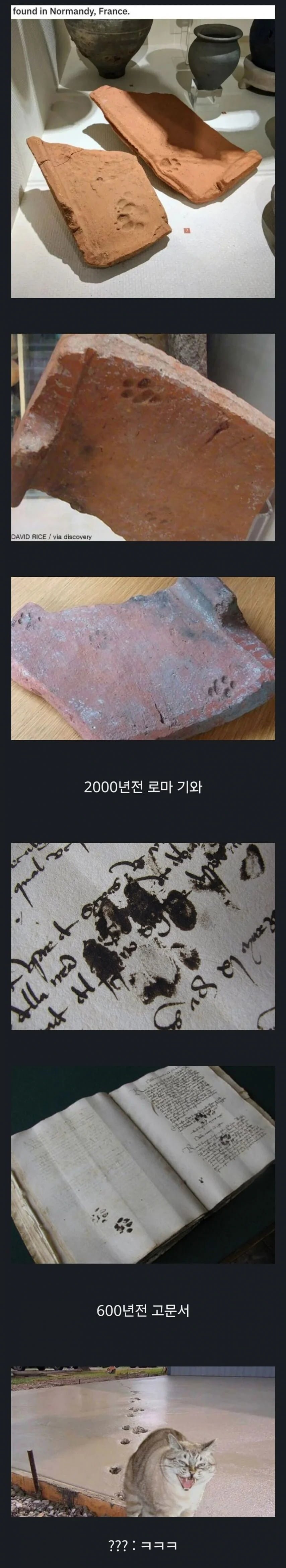 20250716120844_UFqULiJui7.png?v=7